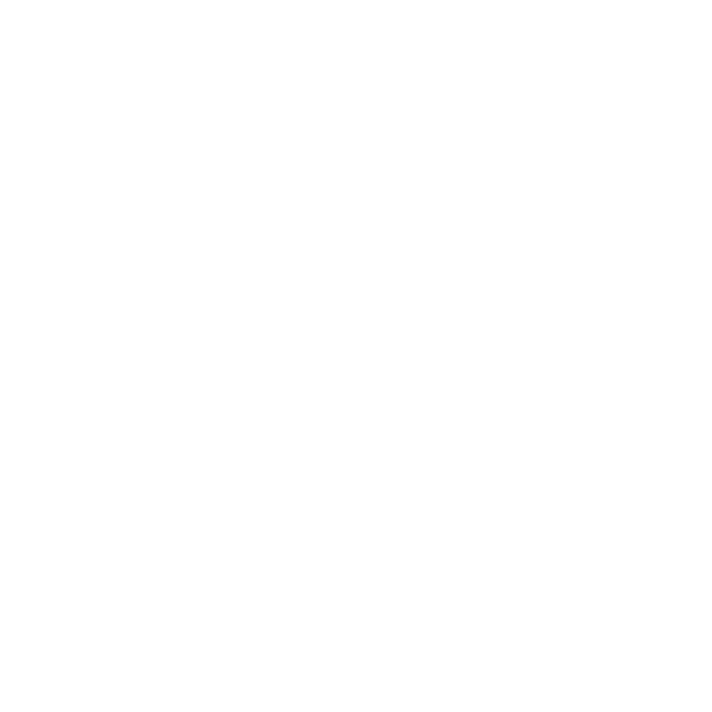 holzofen icon